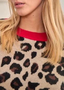 Pull Elya -Élégance Soldes Motus Boutique Days Of Autumn Pull Elya Leopard 4 14745666 c705 4503 b65c a845c51bc211